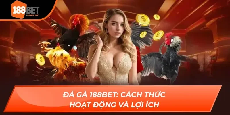 Đá Gà 188bet