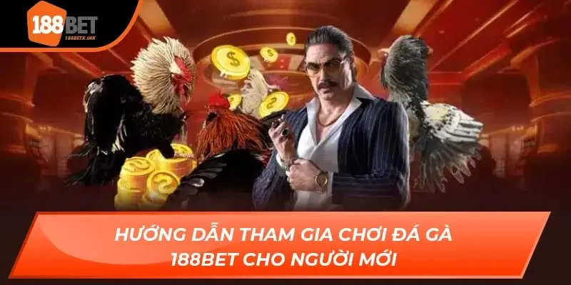 Đá Gà 188bet